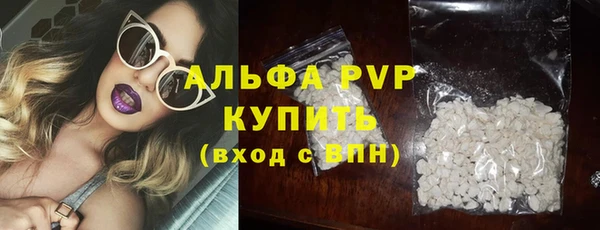 шишки Мегион