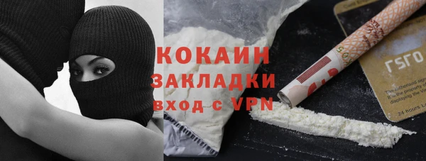 шишки Мегион
