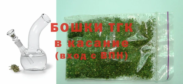 шишки Мегион