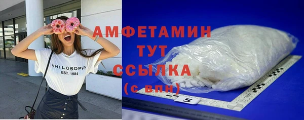 шишки Мегион