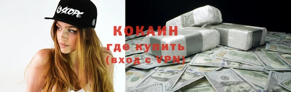 шишки Мегион