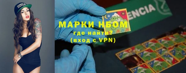 шишки Мегион