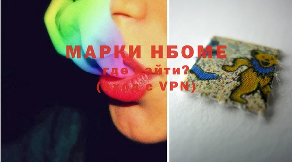 шишки Мегион