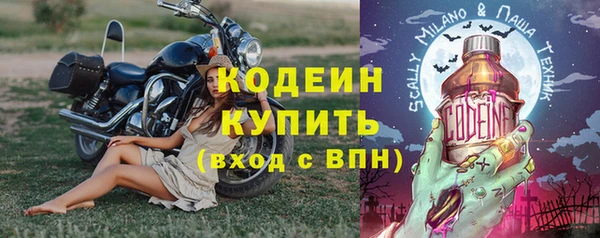 шишки Мегион